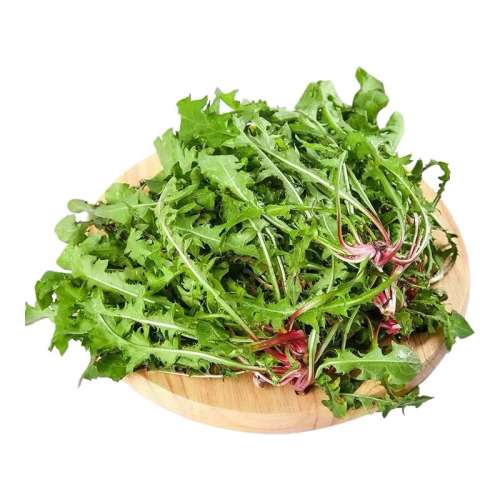 ڲ250g ѹӢҰ4ʻ9.7Ԫ
