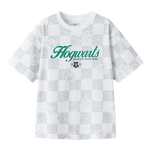 ڲC-ʯ̡ʪٸɴޡ 110cm Tͯٸ57.9Ԫ