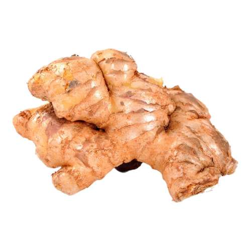 ڲ500g ϻƽ9۽ڸɽСɳӽ߲ƽ54.7Ԫ