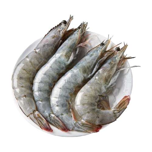 1500g 5-9cm ɭ϶ƴϺ89Ԫ