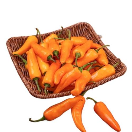 250g ʻƽԴũֻƽ·4.95Ԫ