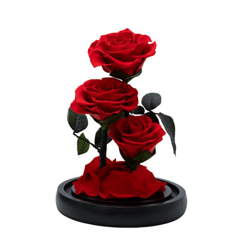 õ---ֻ㡾кš joyflower˽õ廨296Ԫ