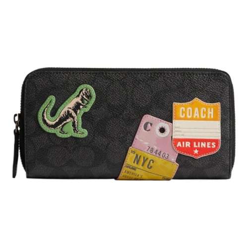 ̿ɫ COACH/fʿ־ηǮƸи߼ϻ2900Ԫ