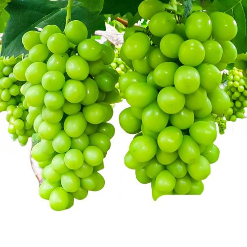 5㣨У 80cm()-89cm() õ29.8Ԫ