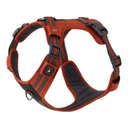 ۻ㣺Ȧ - ɵ - M 35-45 CM Ͽٯʽǣ389.6Ԫ4(97.4Ԫ/)