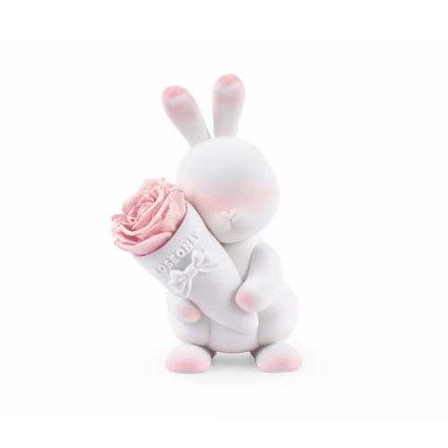 NEWƷBaby ϵ-ո-С-ɫ ROSEONLYŵõ˽ŮѰոױ899Ԫ