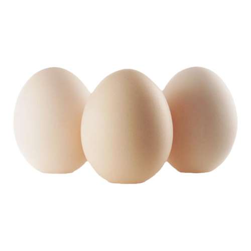 9ö Բ�������ʳ�޾����������մ�