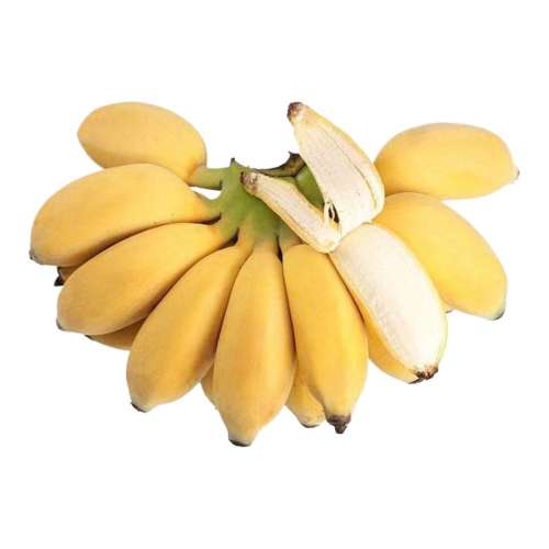 3 ڹС׽ˮС㽶ֱСŽС10.01Ԫ
