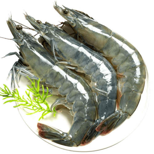 1500g 18-22cm ϺʻٶൺʻΧϺϺ䶳شϺϺຣˮ84.42Ԫ