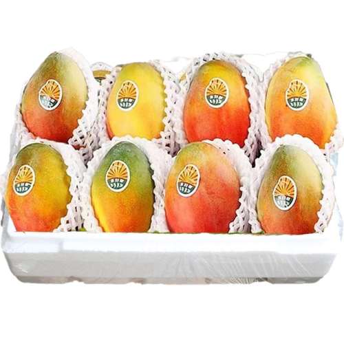 ڲ1500g йͷУʵݡ Ĵ֦â9Ӧˮâشæ9.8Ԫ