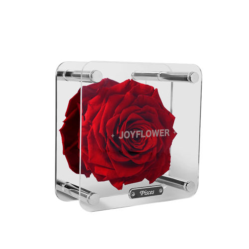 õ廨3.21-4.19 joyflowerʮ206Ԫ