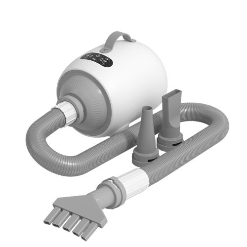 ��Plus�°桿������ť�� �¿�˹����ϴ��ר�þ�����ë����