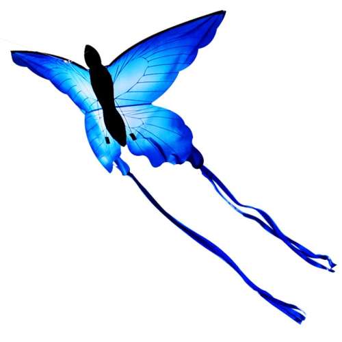 ����������+100���߰� ҹ���ͯ��ͨΫ������39.9Ԫ