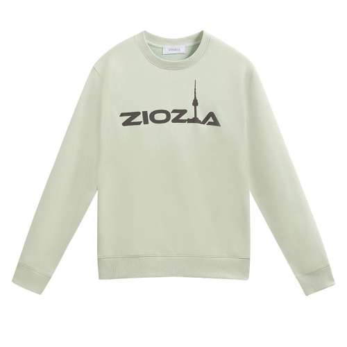 ɫ 90/165 ZIOZIAʿﶬװZWD14963A307Ԫ