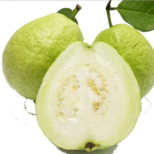 2500g ֣ժ10﷬ʯ29.8Ԫ