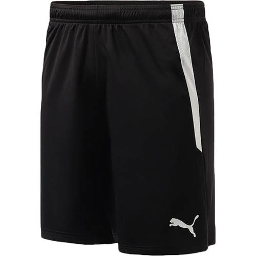 704924-03 175/74A/M Puma/˶͸̿