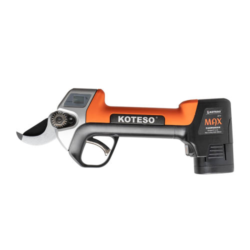 KT930һ KOTESOͷ﮵֦