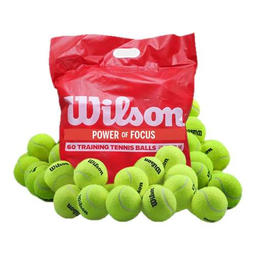 ѹ򡿴ʦ*3 װ Wilsonɢװרҵѵ39Ԫ