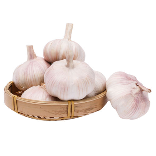 500g й(4CM-5CM) ϸɴ10װũ4.9Ԫ