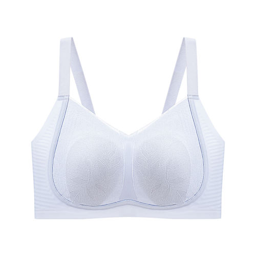 з 34/75BCD ŮıС޺ö76.1Ԫ(88VIP 95)