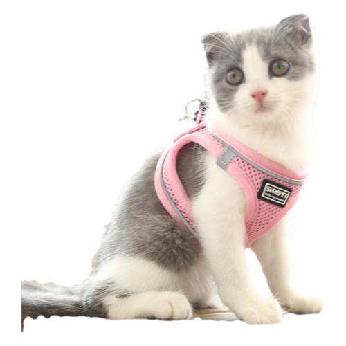 ħ/1.4׷ XXS (Χ26-29cm)  1-3ղȷ èǣѱʽè޹29.8Ԫ