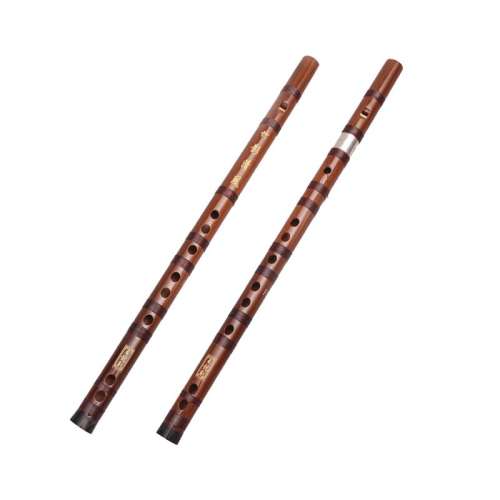 ��G������Ĥ��֧רҵ��+ȫ����� ˳������6��f��g����ѧ������Ĥ