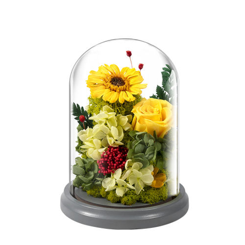 ̫- joyflowerտ242Ԫ