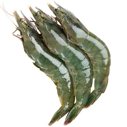 1500g 6-9cm ʴϺʻΧϺൺشϺϺٶϺϺˮʻ49.8Ԫ