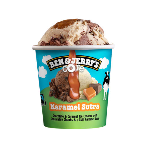 ˹ݮ֥ʿ460ML+(϶ɿ462mL Ben&Jerry's REMEO196.2Ԫ