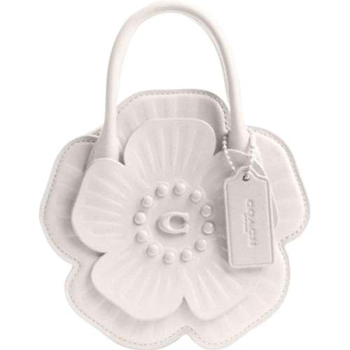 ɫӲ/۰ COACH/ޢ۰Ůʿõͼִ    1480Ԫ
