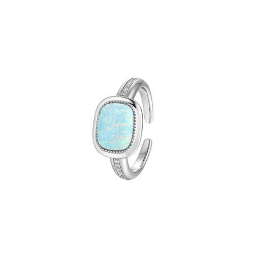 ۻ㣺ɫ VITARINGŷʯŽָСԭ309.68Ԫ4(77.42Ԫ/88VIP 95)