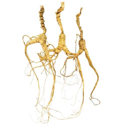 50g ����ɫ ���²βвγ���ɽҰɽ��20���ݾ�