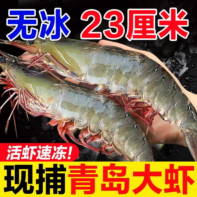 ڲൺϺʻٶ51.9Ԫ