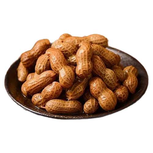 2025»±Ͱ±֭500g*1 ±֭±ˮζʳʪʳС¾Ʋ5.3Ԫ