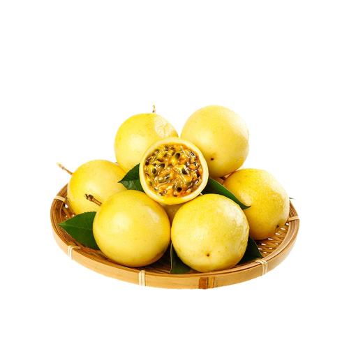 ڲ1 С 11-13/ 9Żƽ55.1Ԫ