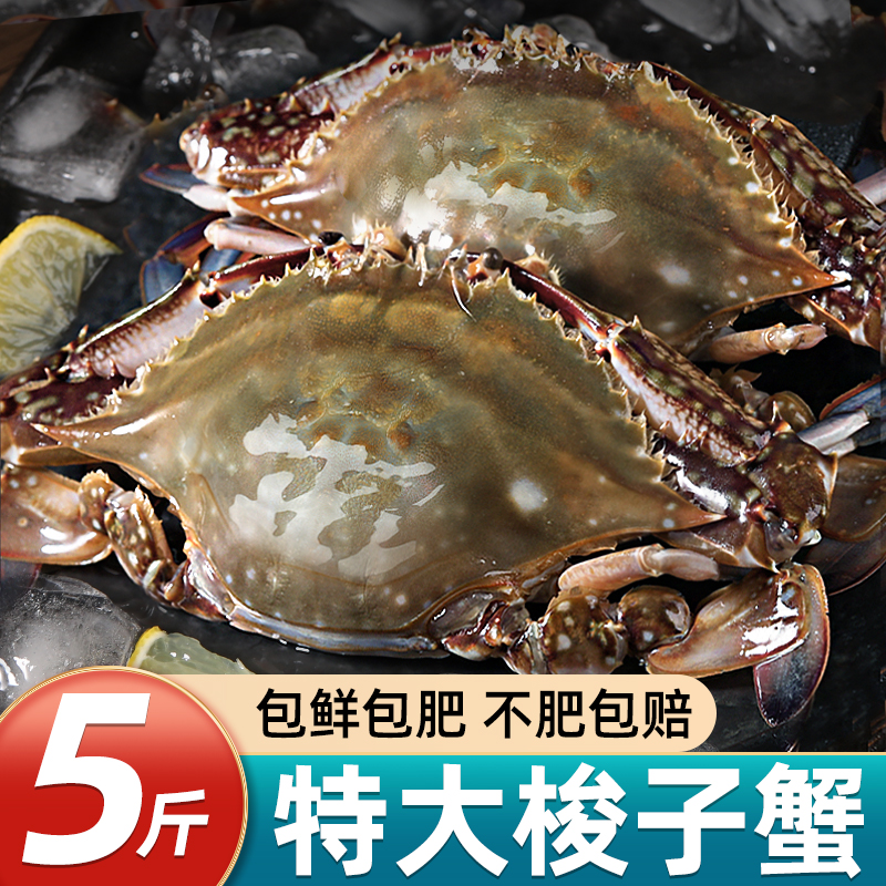 ڲзʻشҰɽзˮ䶳ззз˳52.9Ԫ