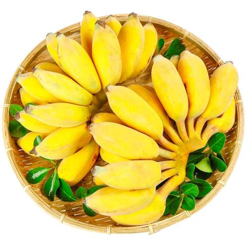 ڲ1 ժС׽9ﵱˮ    4.7Ԫ