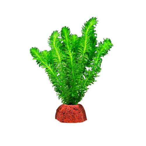 ɽʯ첨ر ɽʯˮֲ쾰ˮ3.97Ԫ