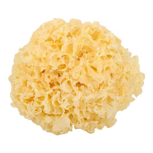 顿50g*1 رľľɻŴ׳6.9Ԫ