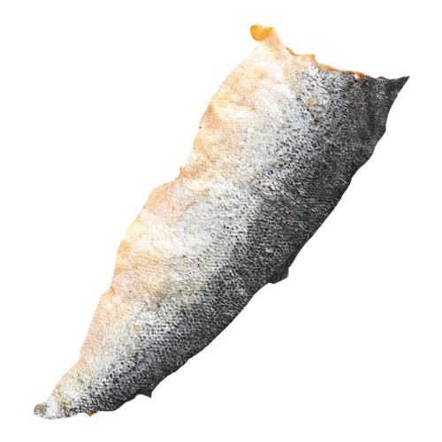 ¿Ϳ?1š50cm+ŶƤ~ 1 Ƥʳĥ6.9Ԫ