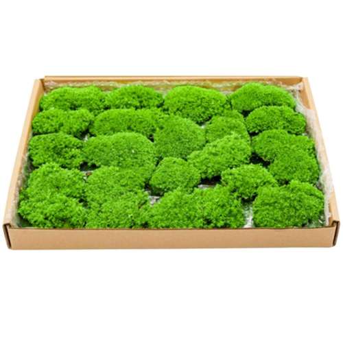 ׷޺ɫ18*18CM ̦޺׷޺ֲǱ쾰16Ԫ
