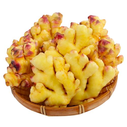 ڲ250g 2025Сƽ9ɳӽAA2.7Ԫ