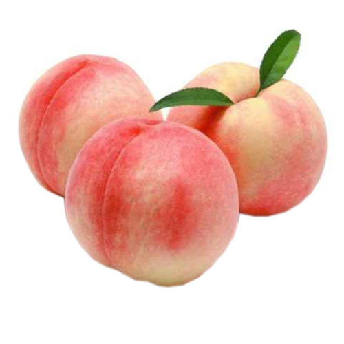 2250g ֱ90-95ף6 ɽز ʳ   Ӳ 6װ  װ56.9Ԫ