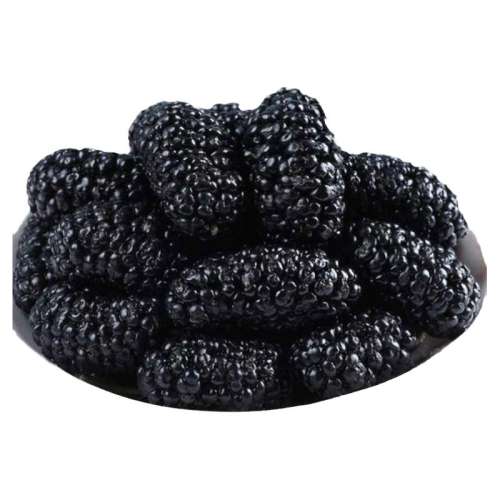 »ѡɣظ250g*1װ 2024»½زɣظɳɣ驸ɣʳݾݲˮȹʵ13.99Ԫ