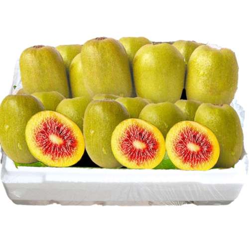 ڲ25ժ?Ĵԭֱ?Ȼ?֭ 6ö С50-70gÿ???Իʣ ʺ⨺30ö6.7Ԫ