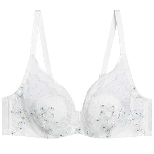 ۻ㣺ɫ1H0 75B ¡ĽɯŮ174.72Ԫ(88VIP 95)
