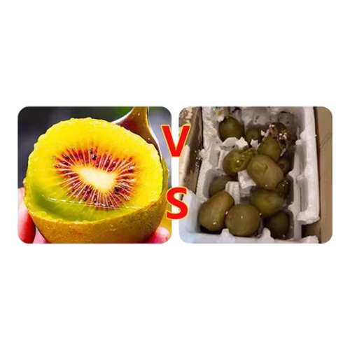 ڲ25ժ?Ĵԭ?Ȼ?֭ 6ö С50-70gÿ???Իʣ ʺ⨺30ö6.7Ԫ