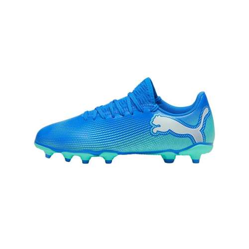 ---01 28 FG/AGЬPUMA884.6Ԫ4(221.15Ԫ/)