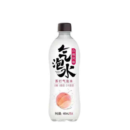 ˮ480ml մˮ480mlƿװ̼ˮƷ00֬01.97Ԫ
