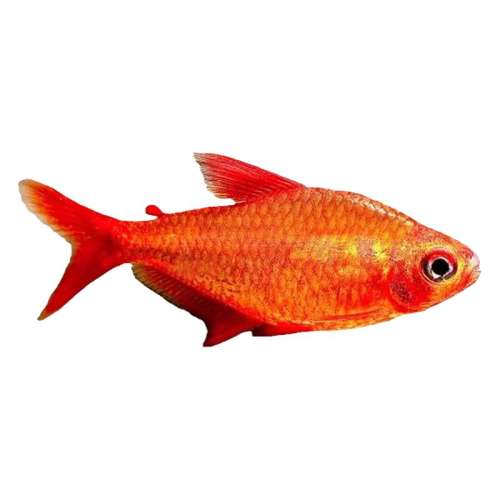 1.8-2cm2 ʵڳȴˮݸȺλ36.6Ԫ2(18.3Ԫ/)